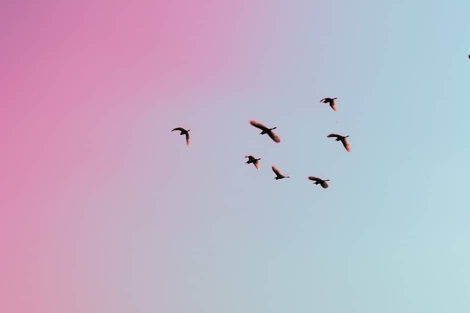 gauravdeep-singh-bansal-caC13DIDe9E-unsplash